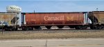 CN 111756